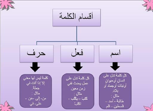 أقسام الكلمة في اللغة العربية