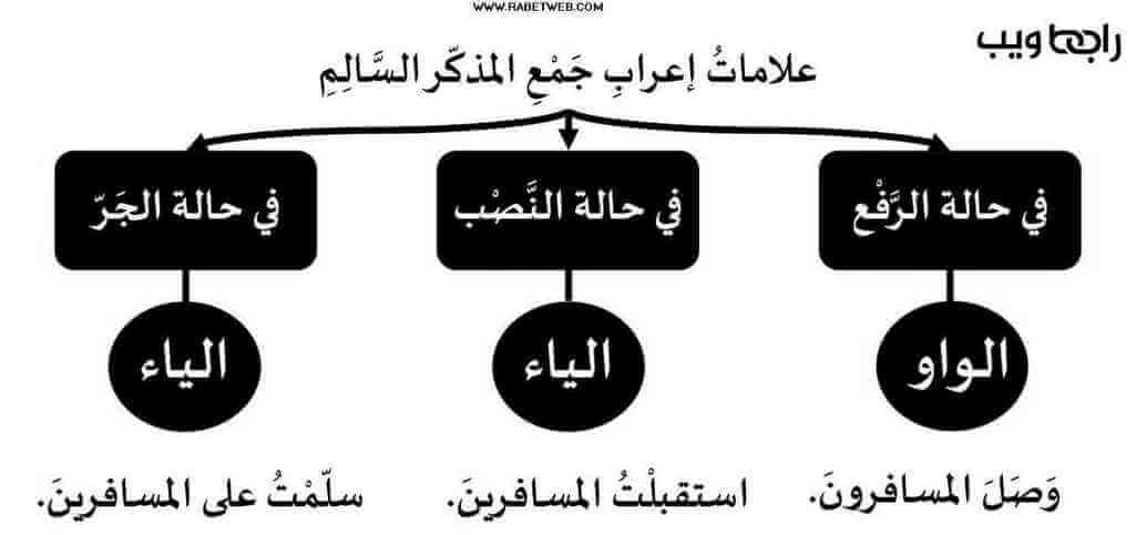 جمع الصوت المذكر وشكله ونحوه مع أمثلة وتمارين عملية رابط ويب