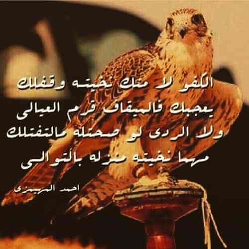 كلمات عن مدح الخوي الكفو بطاقات مدح الخوي الكفو