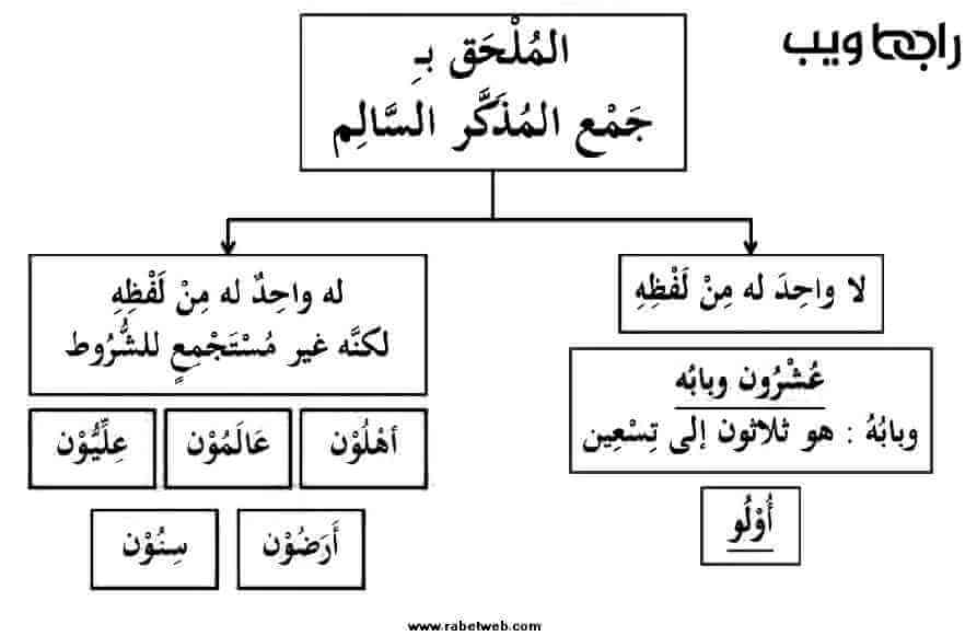 الملحق بجمع المذكر السالم ملحقات جمع المذكر السالم