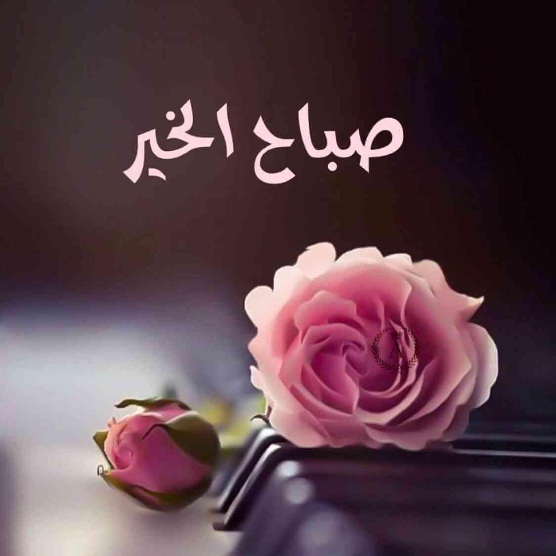 صباح الخير حبيبي صور