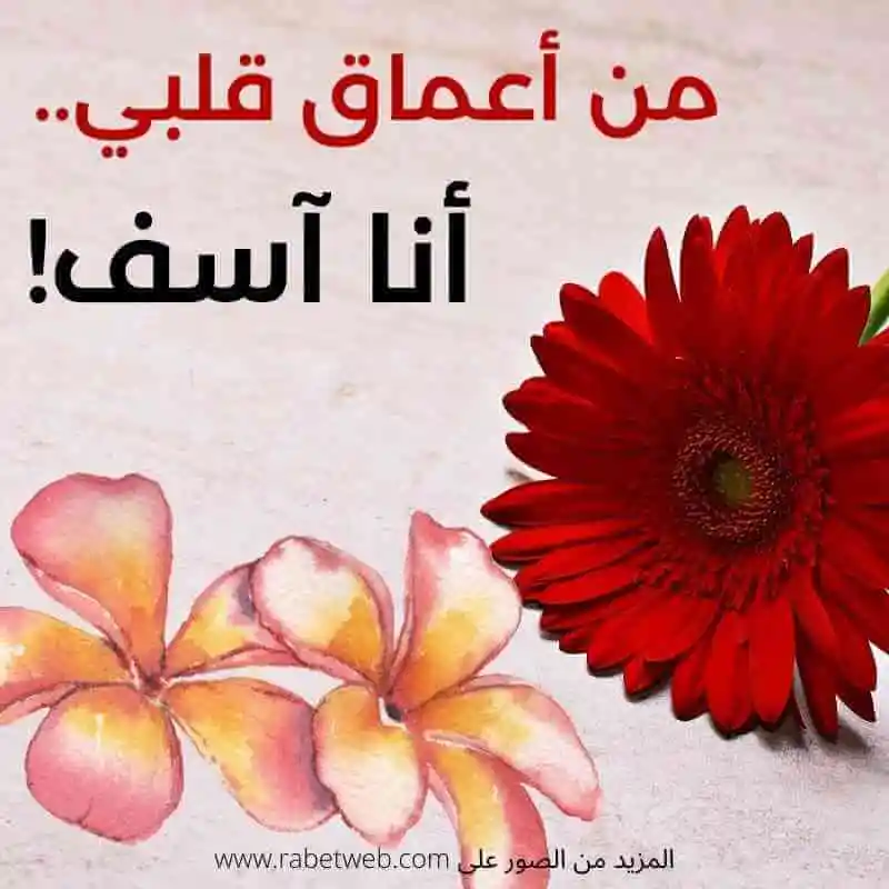 عبارات اعتذار للحبيب عبارات اعتذار للحبيب