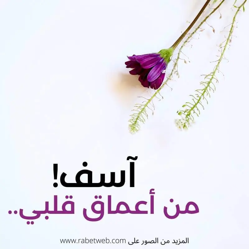 كلمات اعتذار مؤثرة كلمات اعتذار مؤثرة