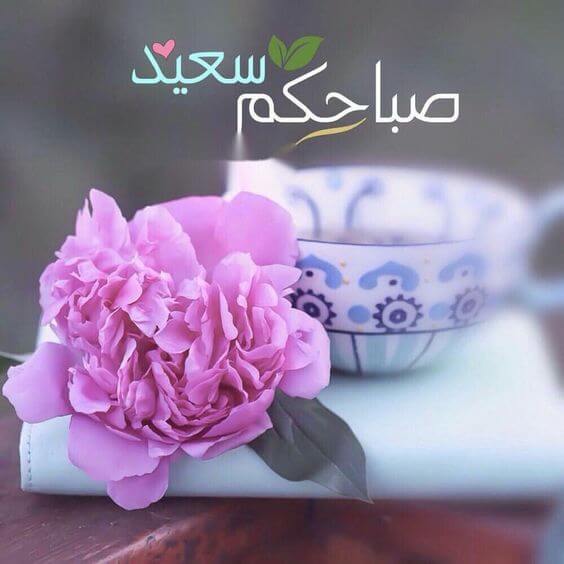 صباح الأمل والسعادة صباح الأمل والسعادة
