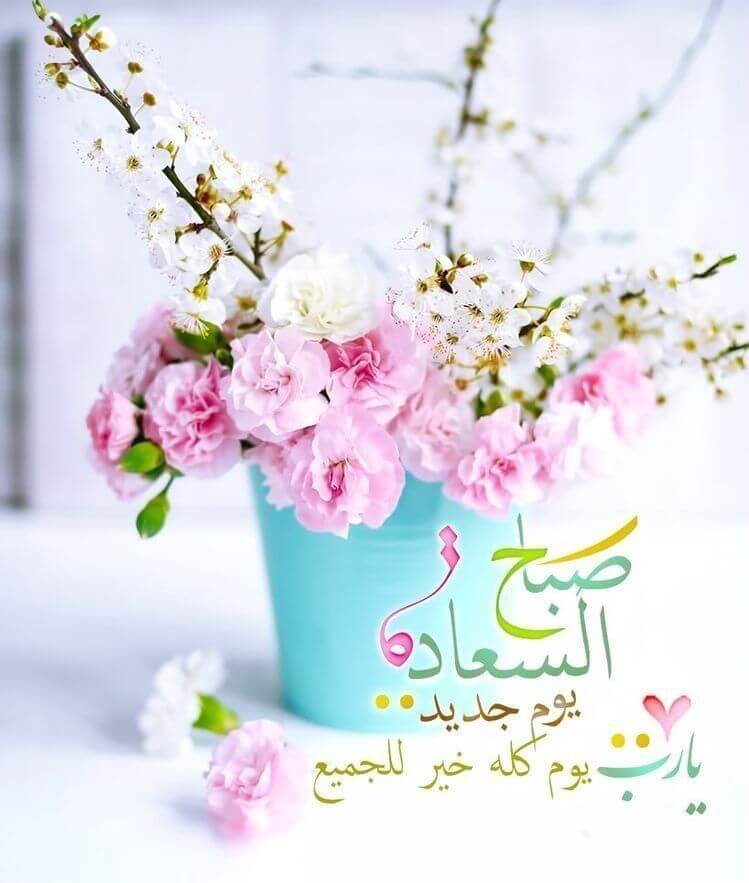 صباح السعادة والرضا صباح السعادة والرضا