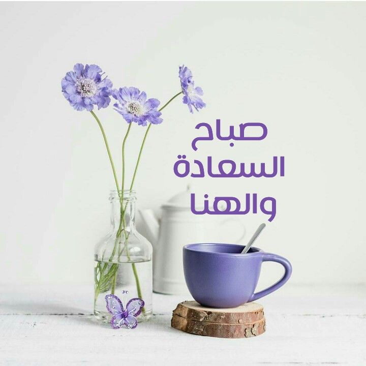 صباح السعاجة والهنا صباح السعاجة والهنا