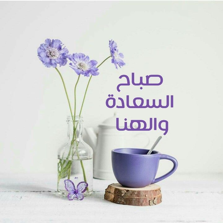 صباح السعاجة والهنا